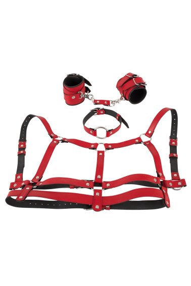 Harness Set 2