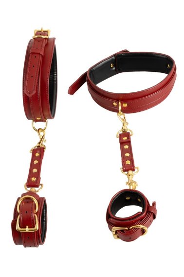 Hand/Leg Restraints 2