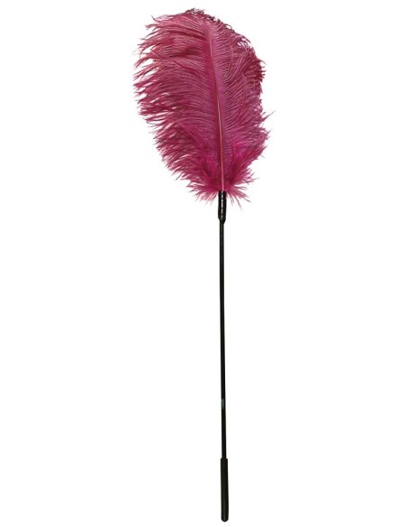 Ostrich Feather pink