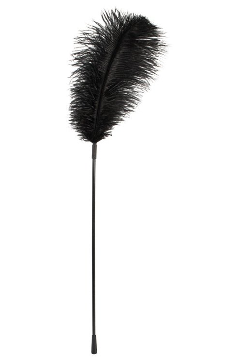 Страусиное перо черное  Feather Wand  black