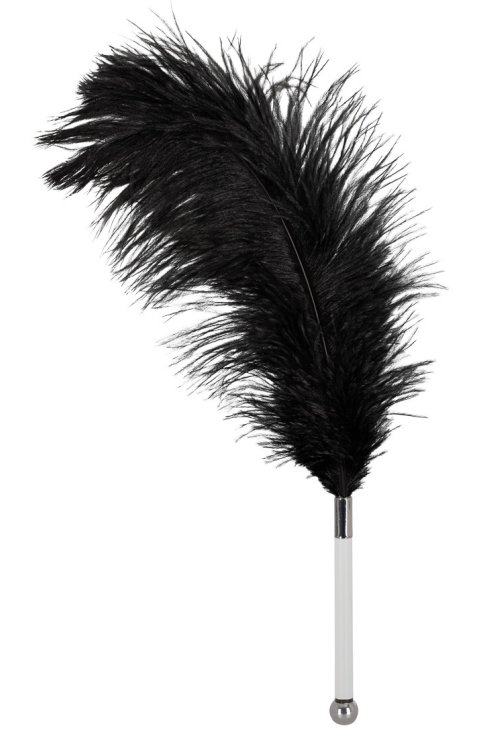 Golicaljka Feather black BK