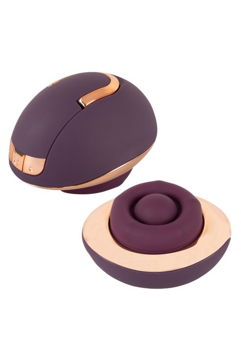 Rotating Vulva Massager