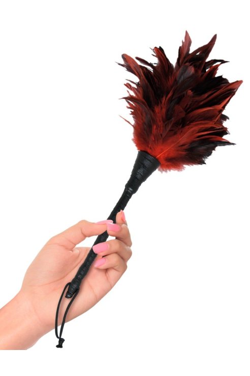 Frisky Feather Duster