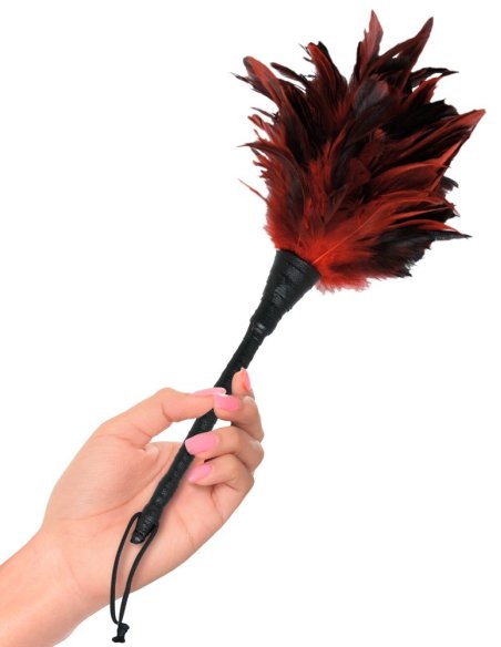 Frisky Feather Duster