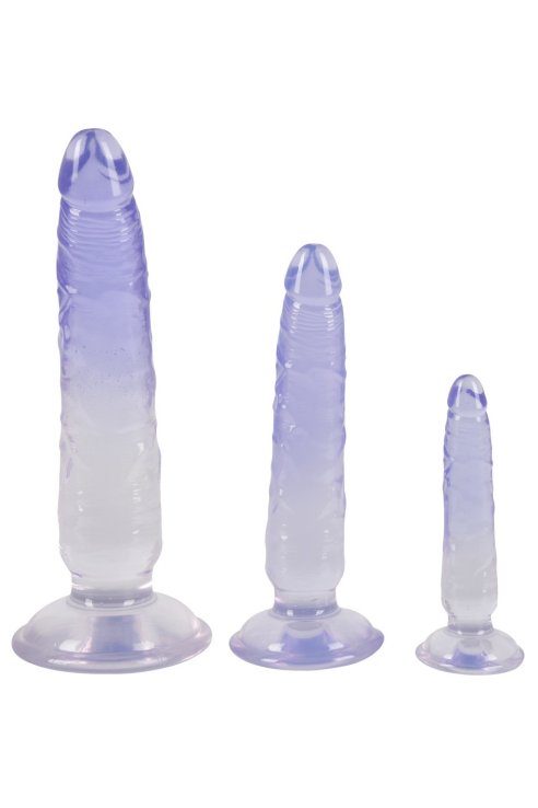 Dildo Anal Training Set