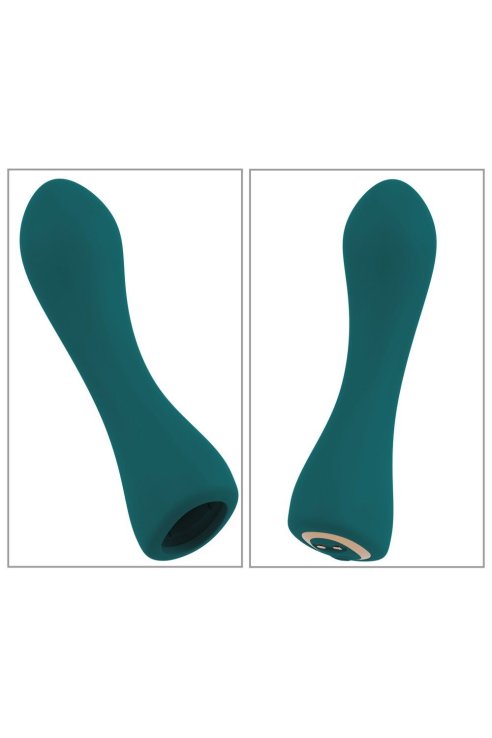 RC Mini Vibrator with 4 Attachments