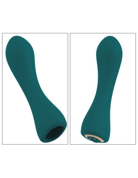 RC Mini Vibrator with 4 Attachments