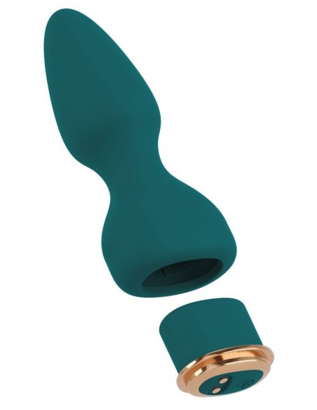 RC Mini Vibrator with 4 Attachments