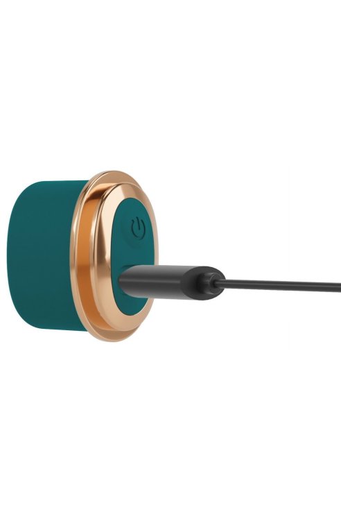 RC Mini Vibrator with 4 Attachments