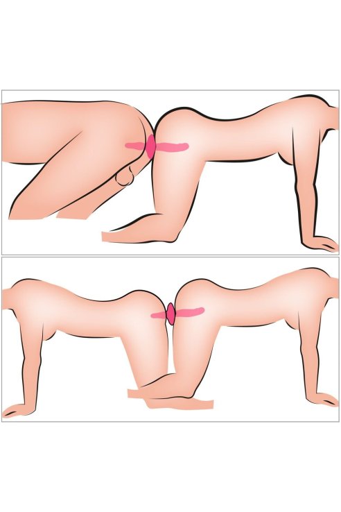Vibrating 2in1 Vibrator + Butt Plug Couples Choice