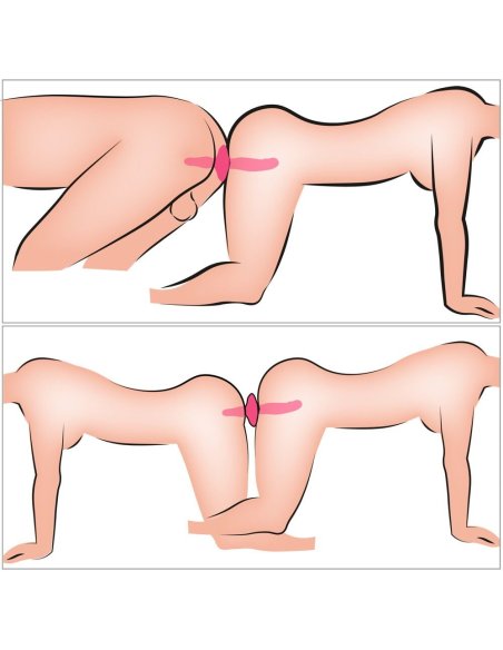 Vibrating 2in1 Vibrator + Butt Plug Couples Choice