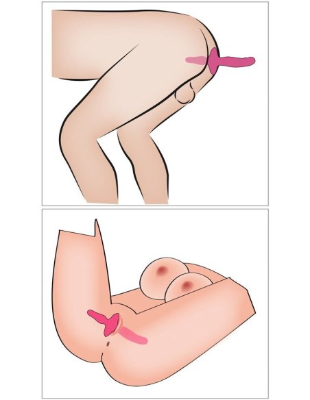 Страп-он 2in1 Vibrator + Butt Plug Couples Choice