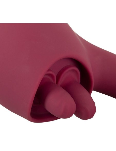 Vibrator 2 Function Vibrator JAVIDA