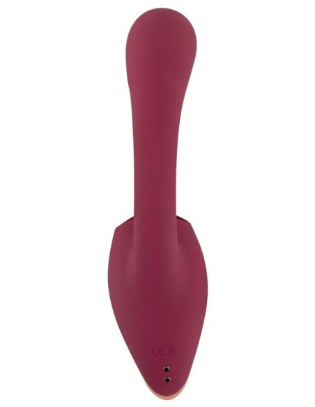 2 Function Vibrator JAVIDA