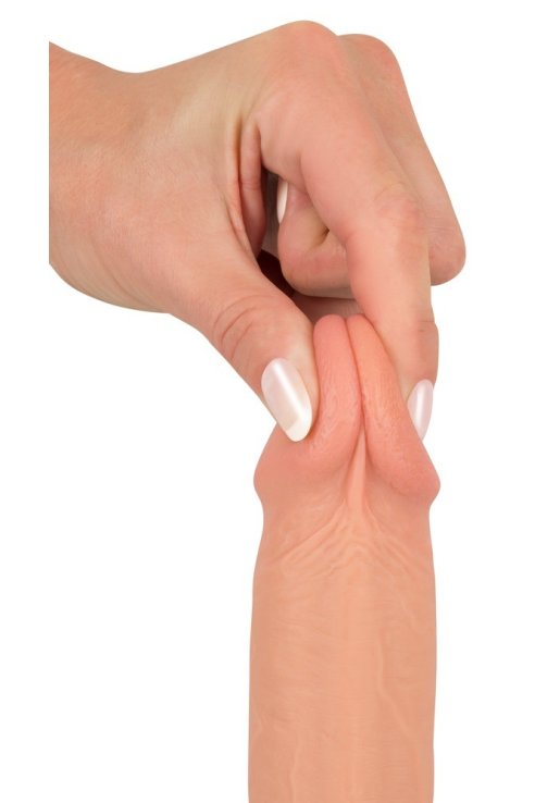 Dildo Realistic Dildo with Suction Cup