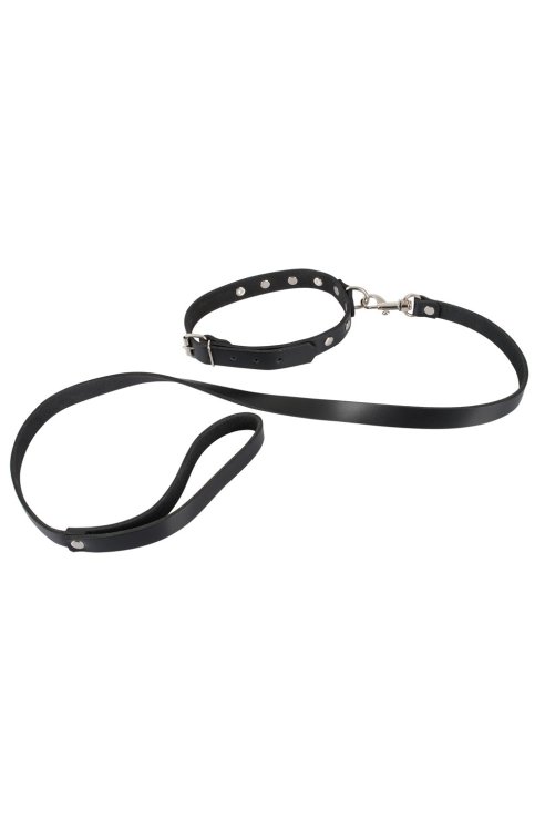 Leather Choker and Leash