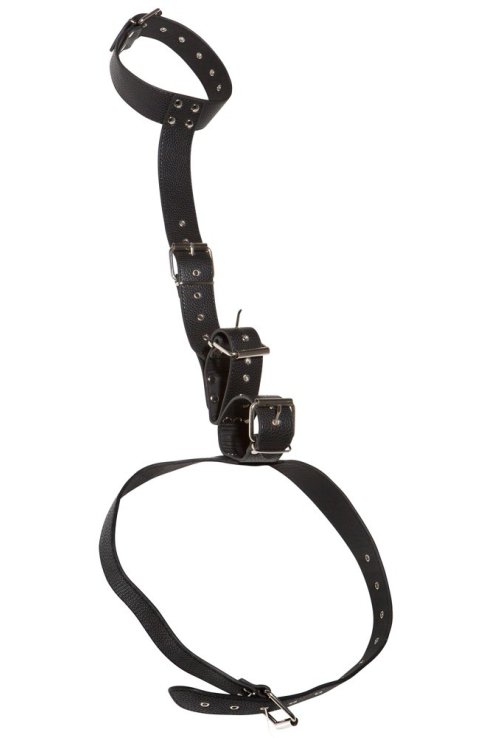 Neck and Hand Restraints