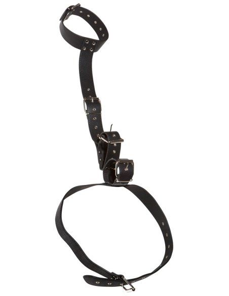 Neck and Hand Restraints