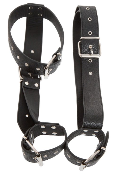 Neck and Hand Restraints