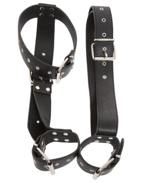 Neck and Hand Restraints