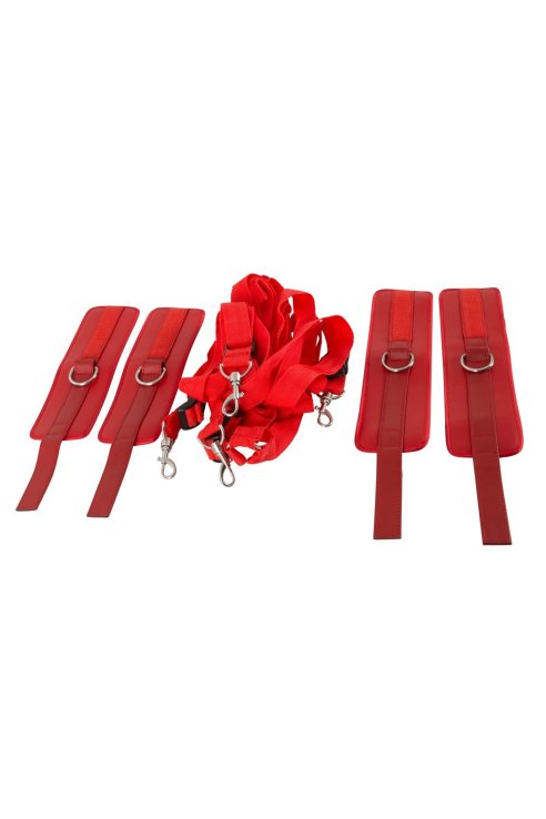 Bed Restraint Set