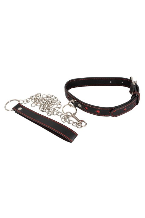 Collar and Leash