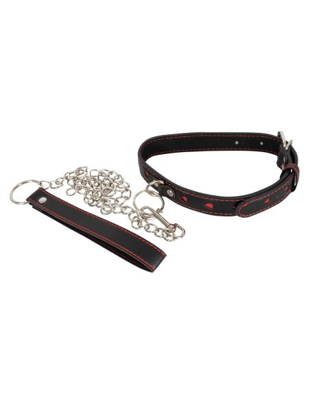 Collar and Leash