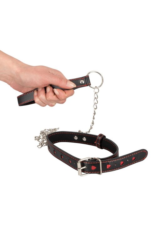 Collar and Leash