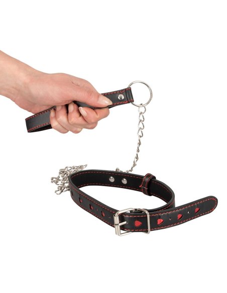 Povodac Collar and Leash