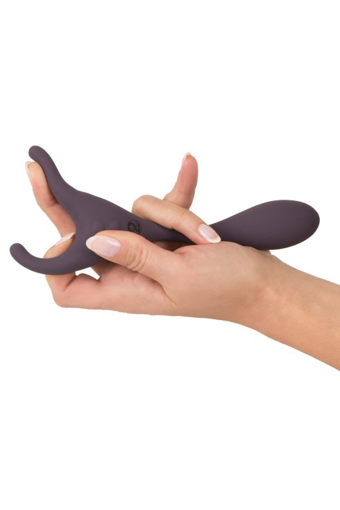 Вибратор Remote Controlled Couple's Vibrator