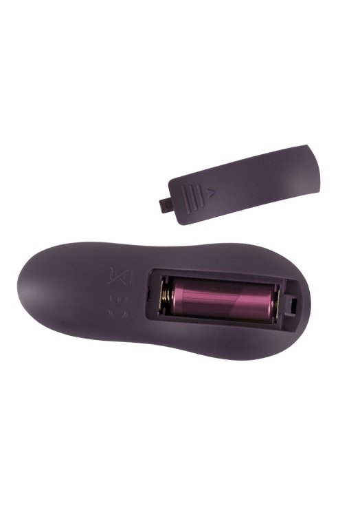 Вибратор Remote Controlled Couple's Vibrator