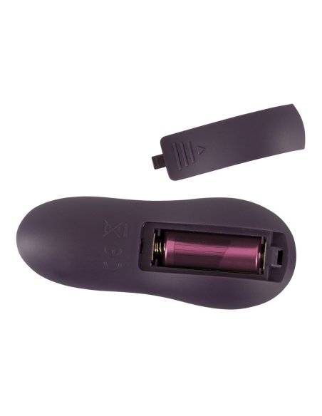 Вибратор Remote Controlled Couple's Vibrator